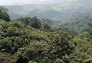 The government of Rwanda canceled the contract with the company that leased the Gishwati forest.